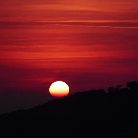 Orange Klis