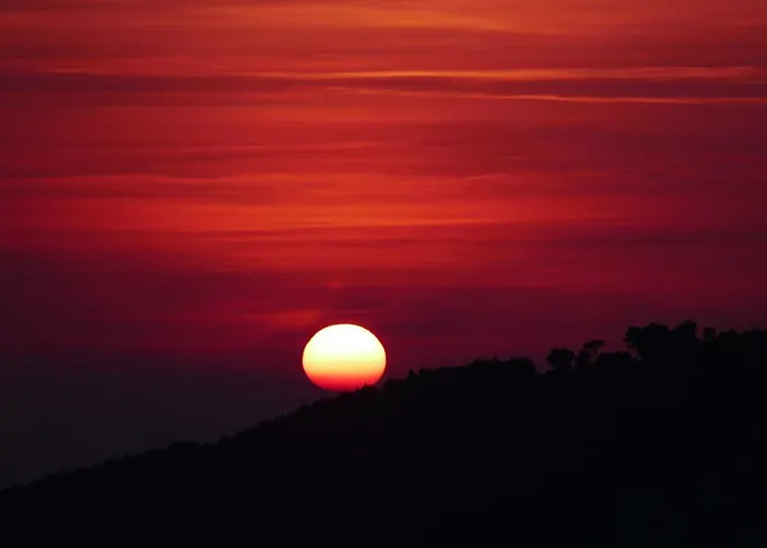 Orange Klis